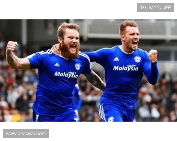 西布罗姆与莱切城精彩对决直播全程回顾与分析