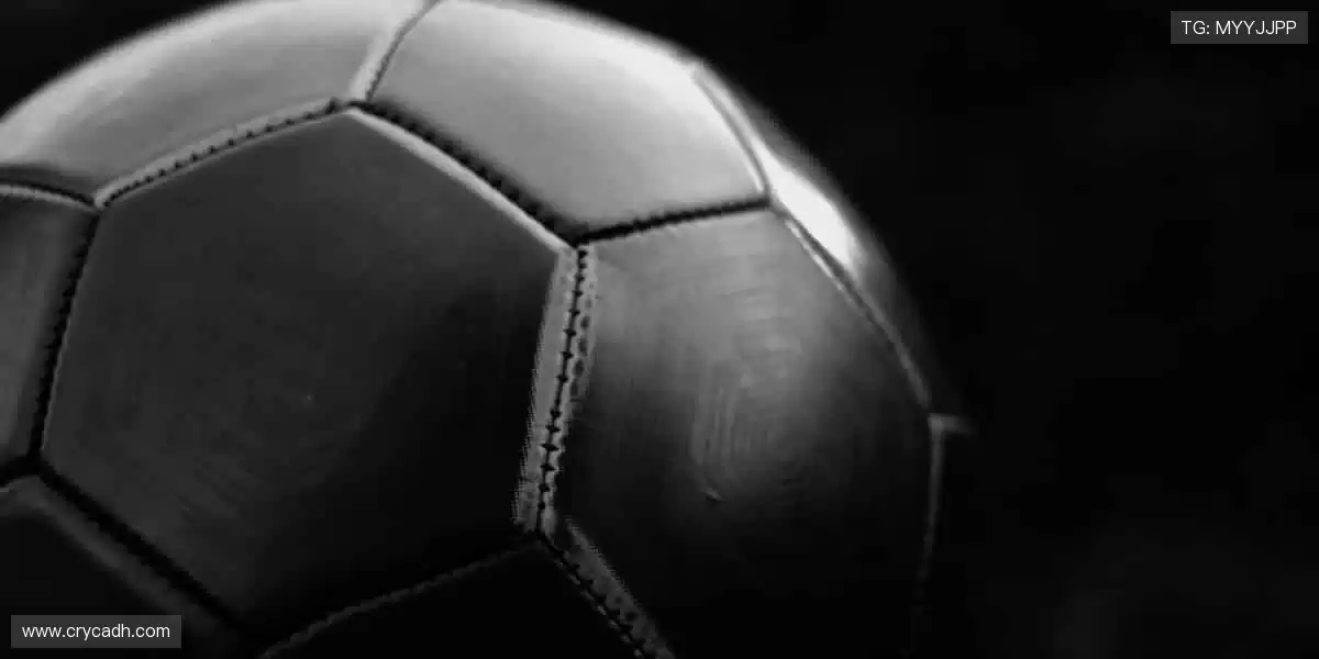 📸 赛场瞬间，定格成你专属的热血记忆！📚